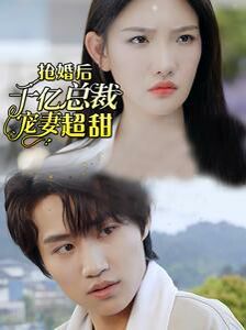 抢婚后千亿总裁宠妻超甜海报